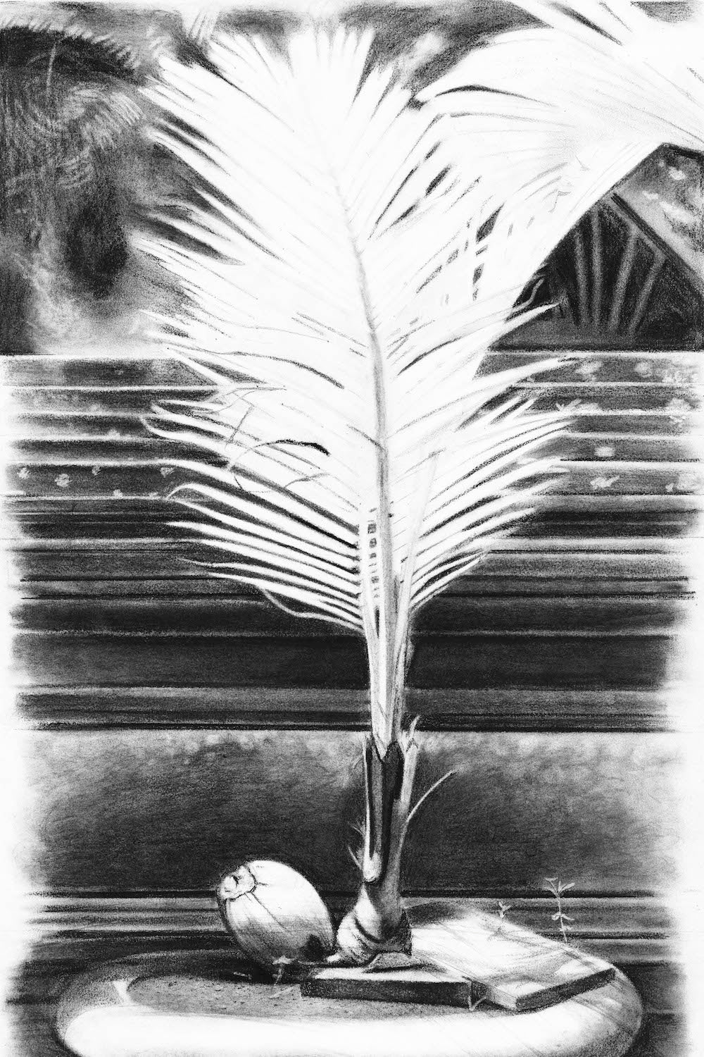 ©Lyle Perkins, 2024 - "Water Temple Study" Charcoal on Paper